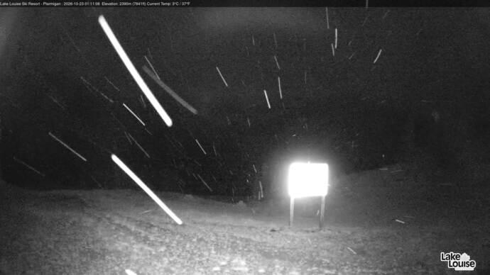 Webcam Fernie: Ptarmigan