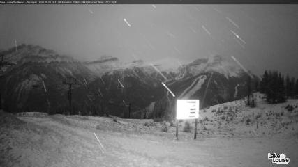 Fernie: Ptarmigan (skifernie.com)