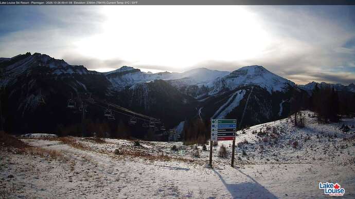 Webcam Fernie: Ptarmigan