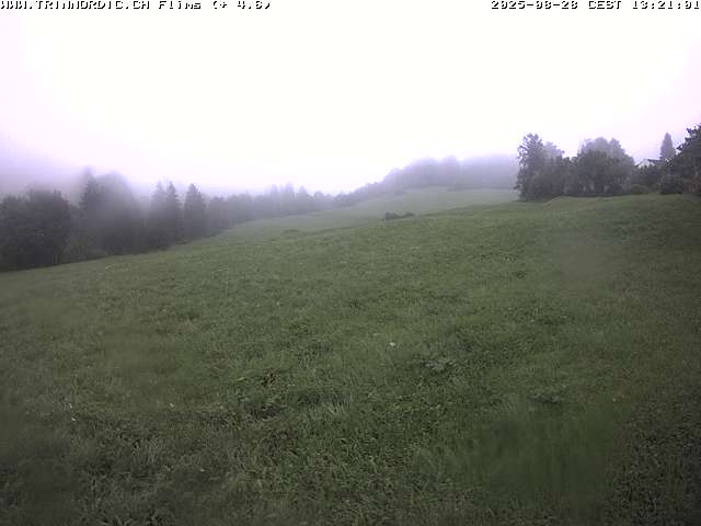 Webcam Flims Laax Falera: Flims Rens