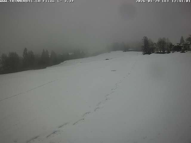 Webcam Flims Laax Falera: Flims Rens