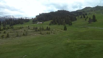 Flumserberg: Prodalp (Flumserberg.ch)