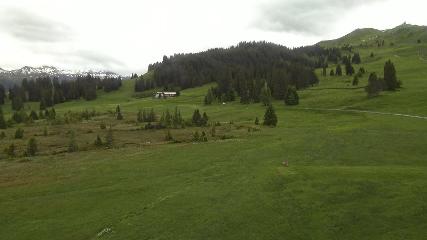 Flumserberg: Prodalp (Flumserberg.ch)