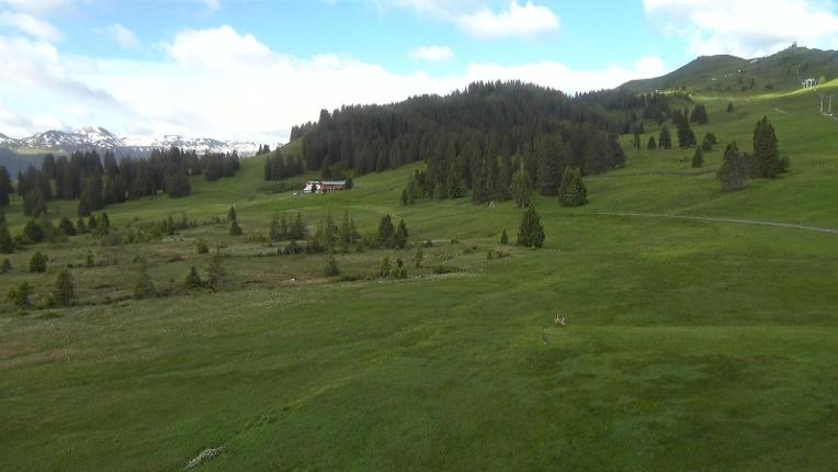 Webcam Flumserberg: Prodalp