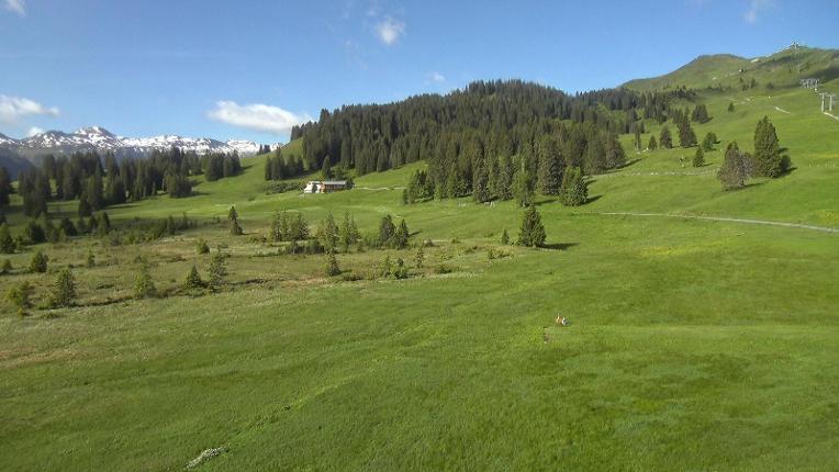 Webcam Flumserberg: Prodalp