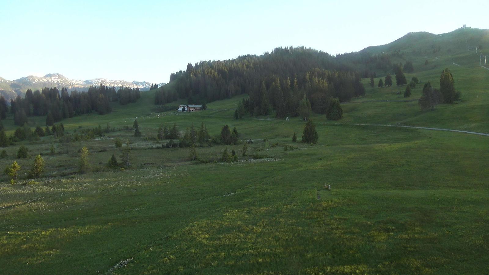 Webcam Flumserberg: Prodalp