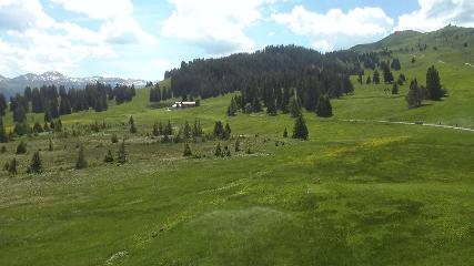 Flumserberg: Prodalp (Flumserberg.ch)