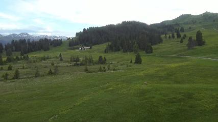 Flumserberg: Prodalp (Flumserberg.ch)
