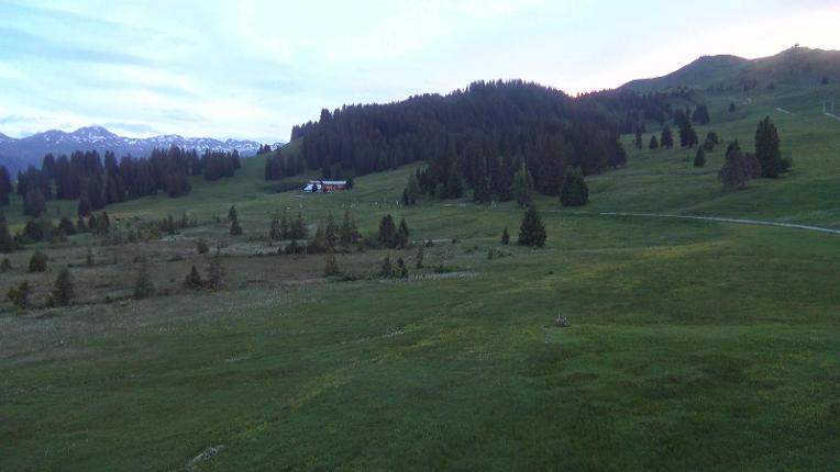 Webcam Flumserberg: Prodalp