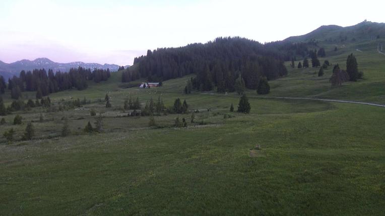 Webcam Flumserberg: Prodalp