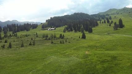 Flumserberg: Prodalp (Flumserberg.ch)