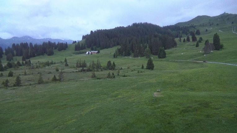 Webcam Flumserberg: Prodalp