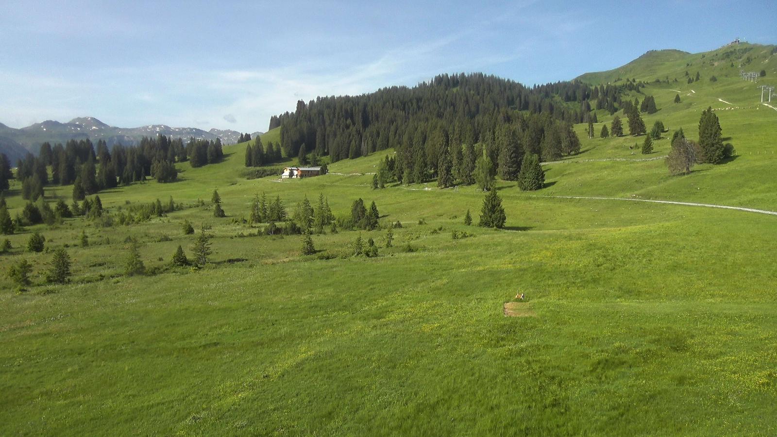 Webcam Flumserberg: Prodalp