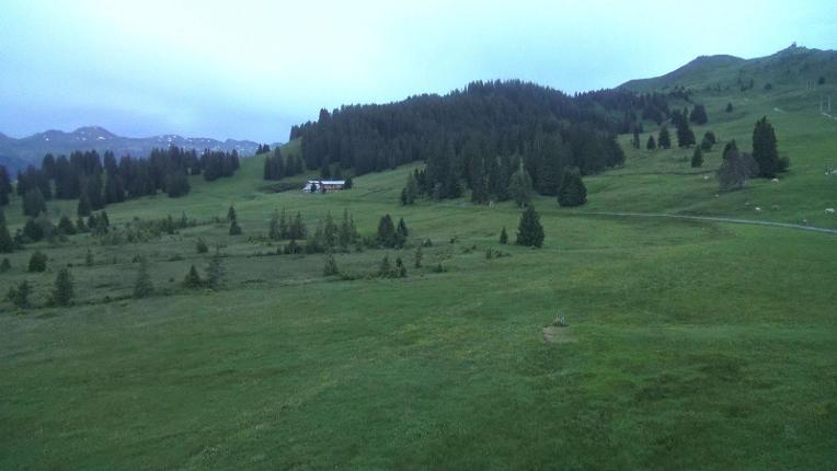 Webcam Flumserberg: Prodalp