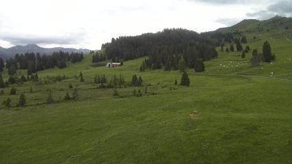 Flumserberg: Prodalp (Flumserberg.ch)