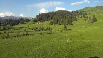 Flumserberg: Prodalp (Flumserberg.ch)