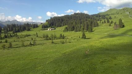 Flumserberg: Prodalp (Flumserberg.ch)