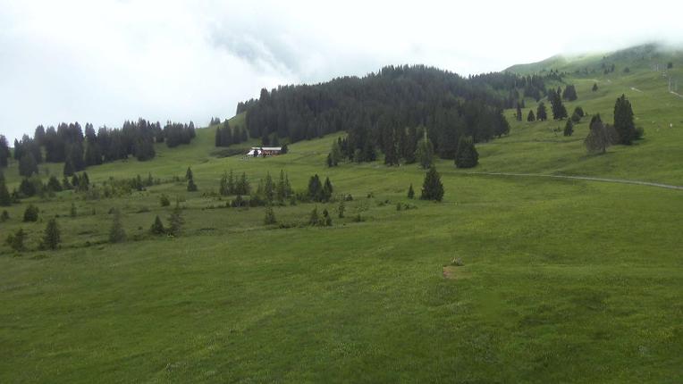 Webcam Flumserberg: Prodalp