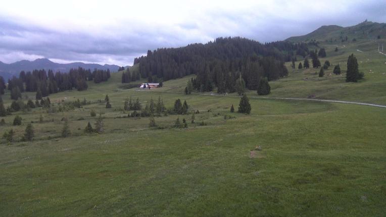 Webcam Flumserberg: Prodalp