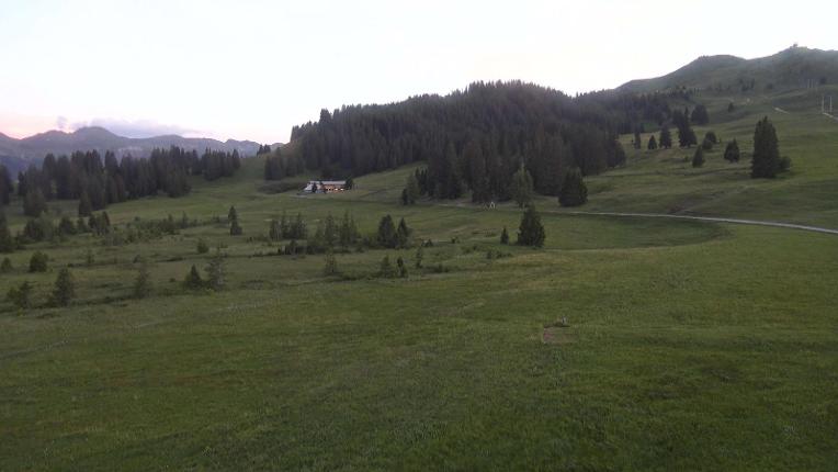 Webcam Flumserberg: Prodalp