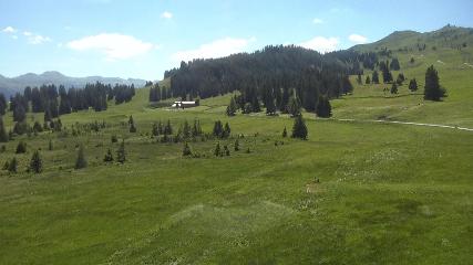 Flumserberg: Prodalp (Flumserberg.ch)
