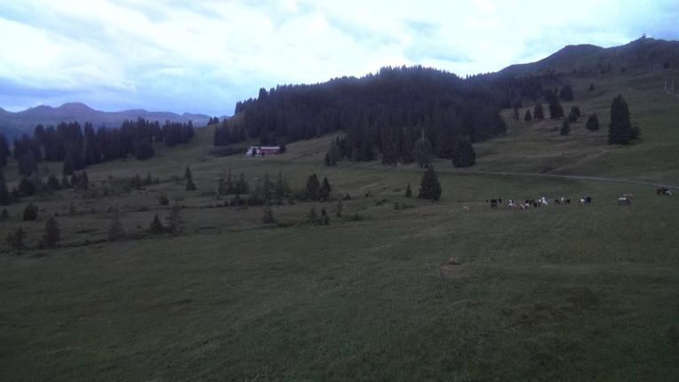 Webcam Flumserberg: Prodalp