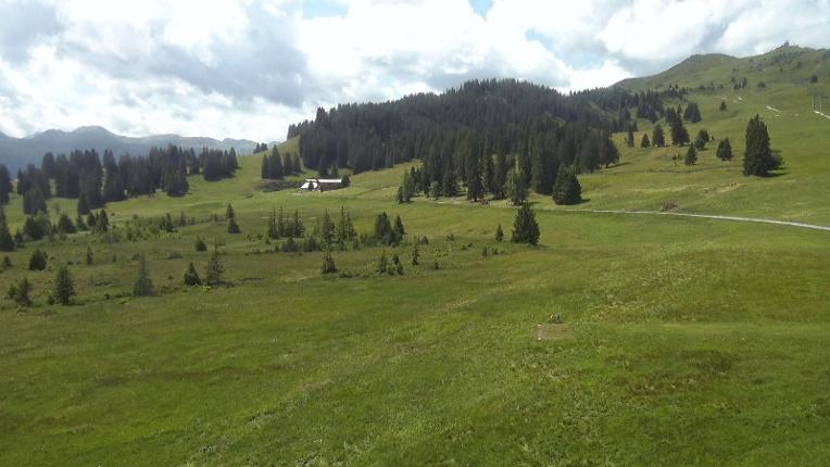 Webcam Flumserberg: Prodalp
