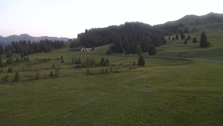 Webcam Flumserberg: Prodalp