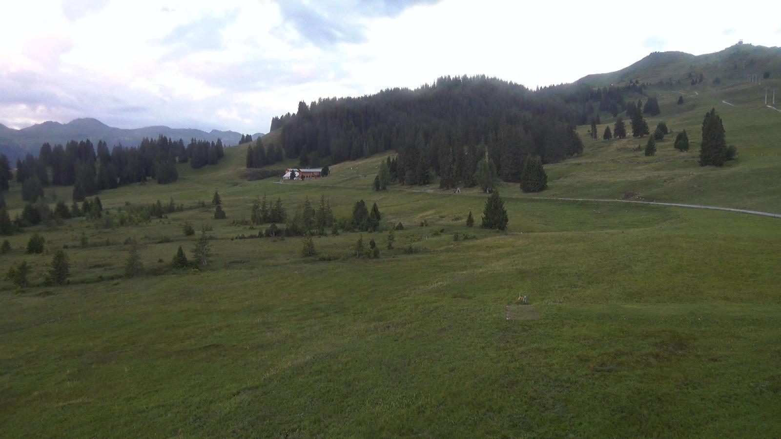 Webcam Flumserberg: Prodalp