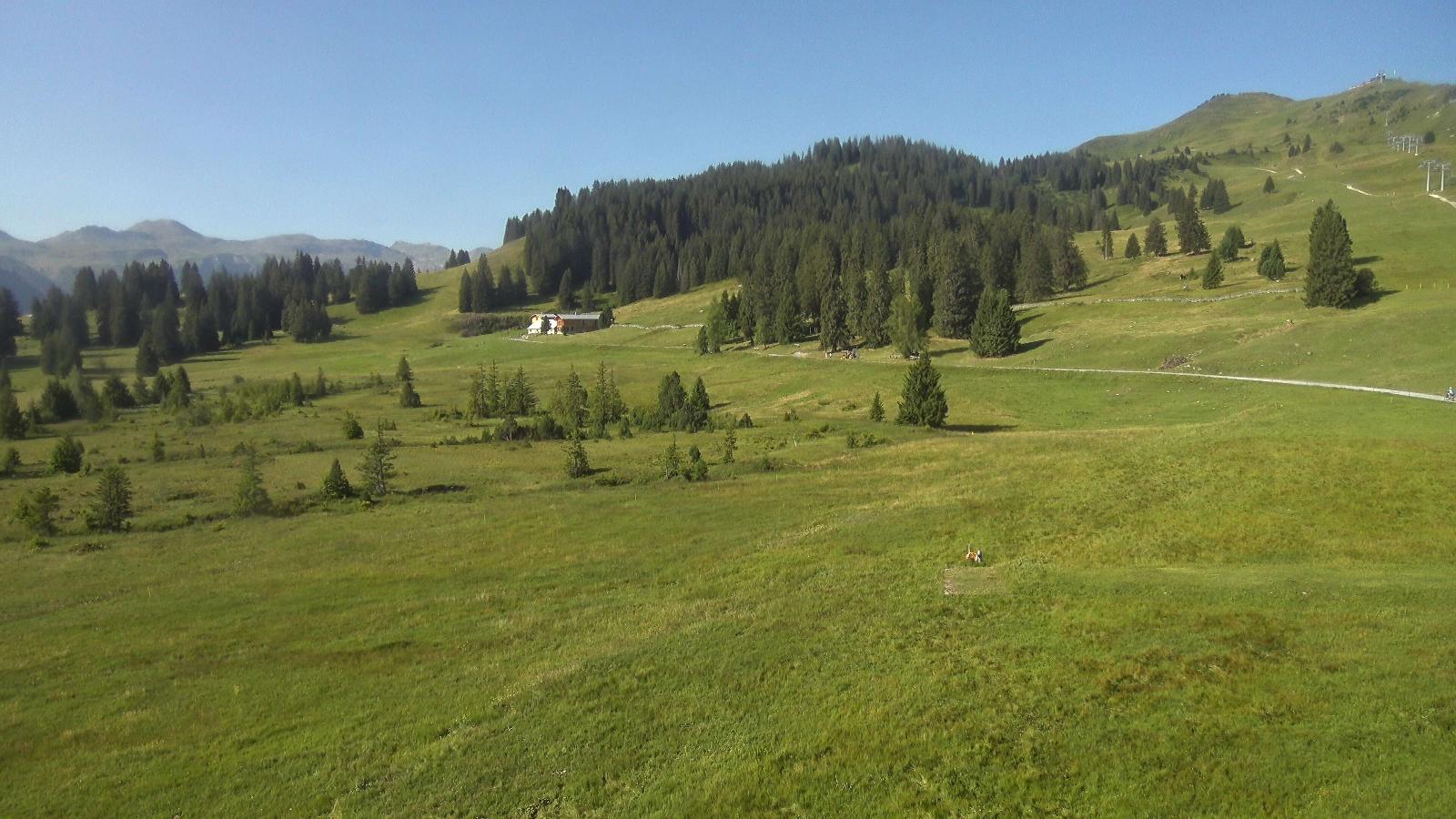 Webcam Flumserberg: Prodalp