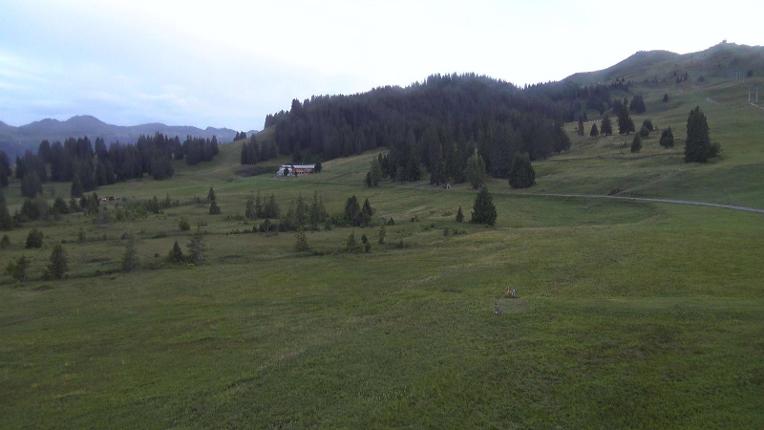 Webcam Flumserberg: Prodalp