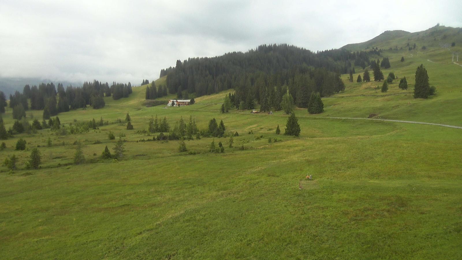 Webcam Flumserberg: Prodalp