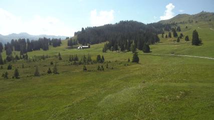 Flumserberg: Prodalp (Flumserberg.ch)
