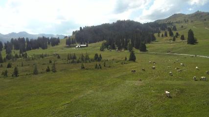 Flumserberg: Prodalp (Flumserberg.ch)