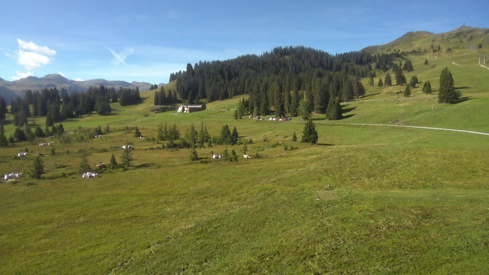 Webcam Flumserberg: Prodalp