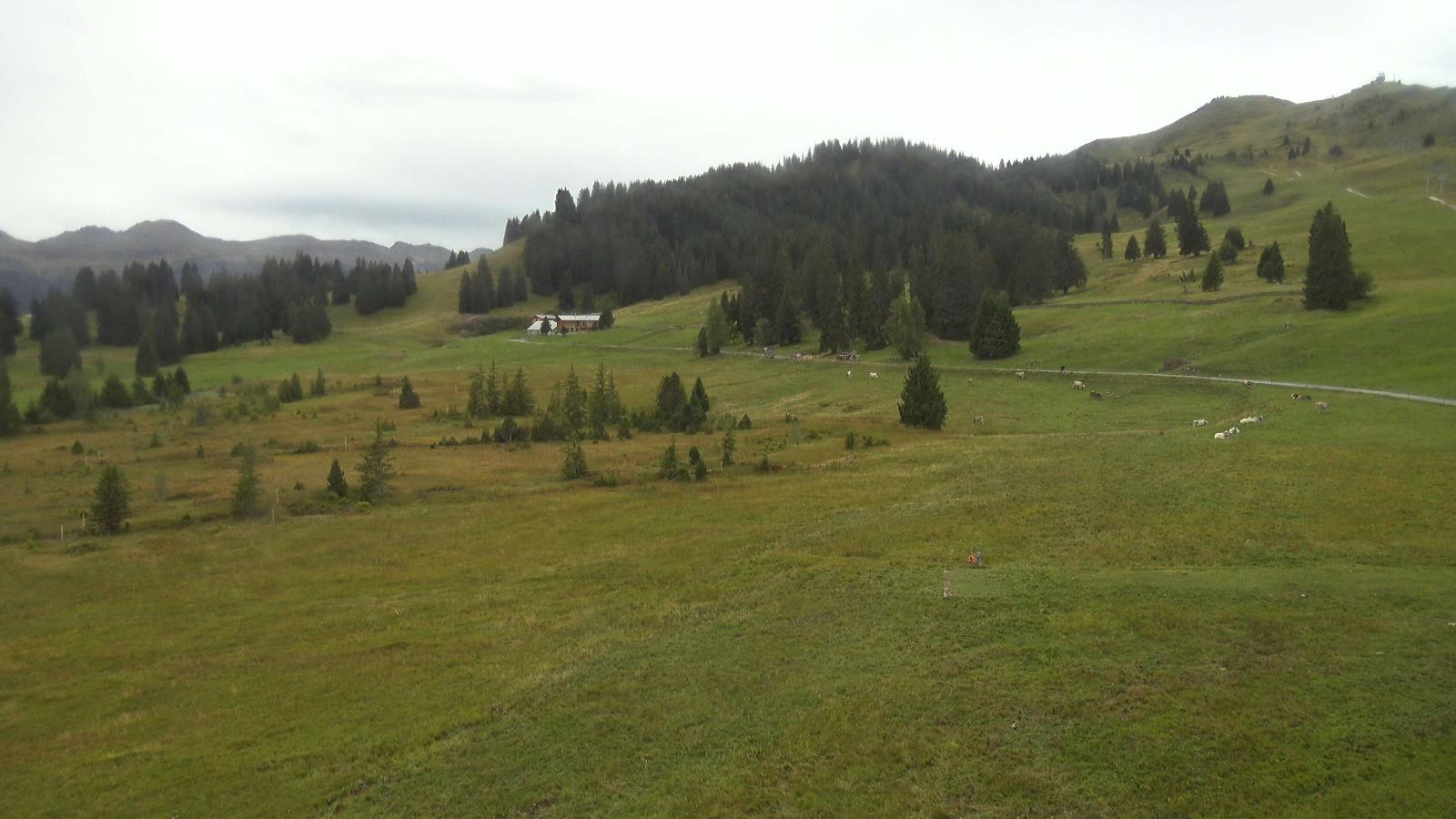 Webcam Flumserberg: Prodalp