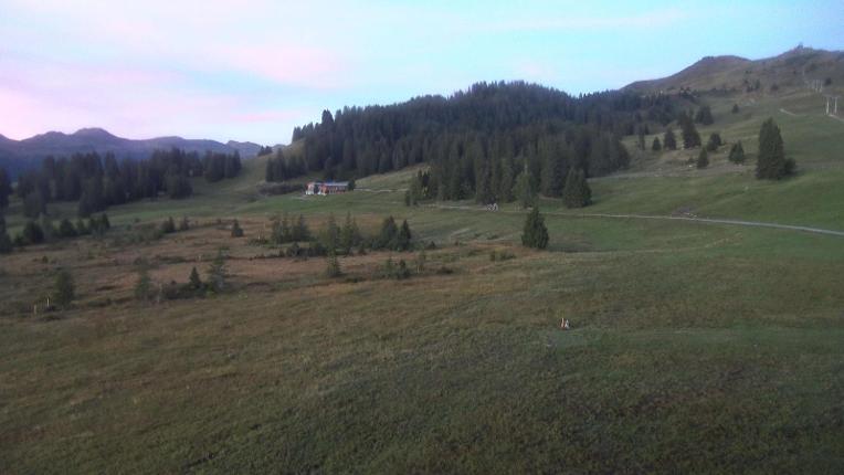 Webcam Flumserberg: Prodalp
