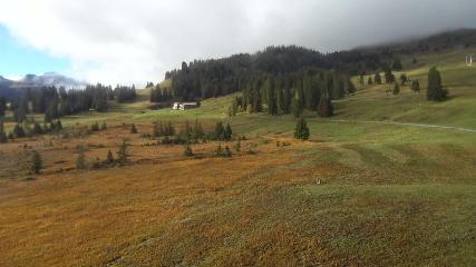 Flumserberg: Prodalp (Flumserberg.ch)