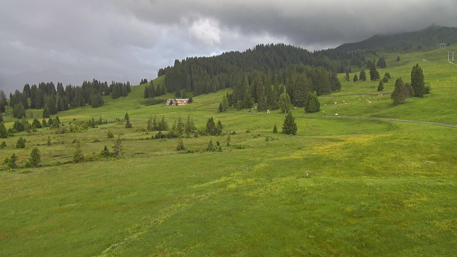 Webcam Flumserberg: Prodalp