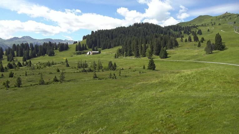 Webcam Flumserberg: Prodalp