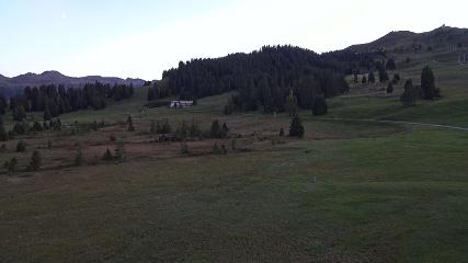 Flumserberg: Prodalp (Flumserberg.ch)