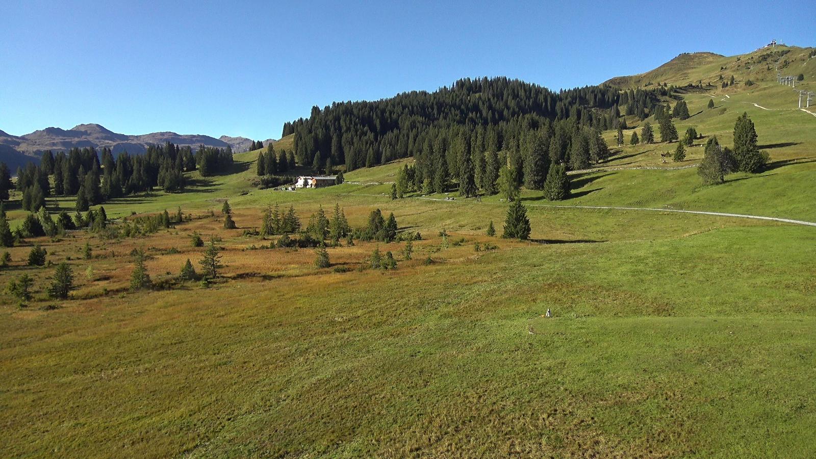 Webcam Flumserberg: Prodalp