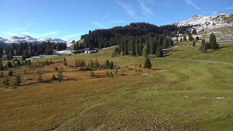 Webcam Flumserberg: Prodalp