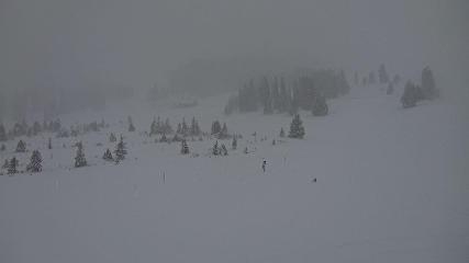 Flumserberg: Prodalp (Flumserberg.ch)