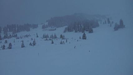 Flumserberg: Prodalp (Flumserberg.ch)