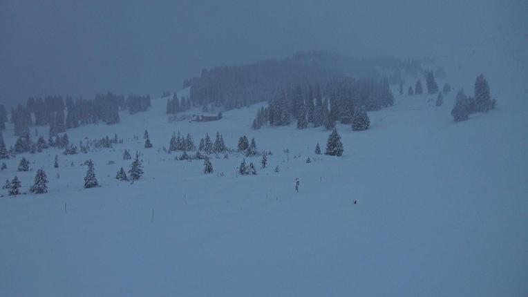 Webcam Flumserberg: Prodalp