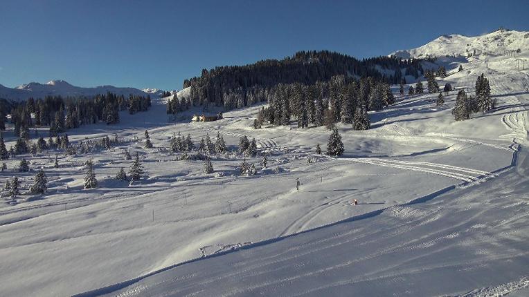 Webcam Flumserberg: Prodalp