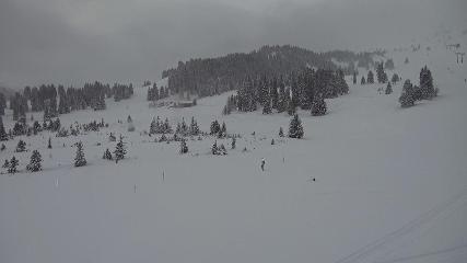 Flumserberg: Prodalp (Flumserberg.ch)