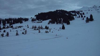 Flumserberg: Prodalp (Flumserberg.ch)