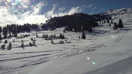 Flumserberg: Prodalp (Flumserberg.ch)